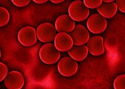 Evidenze del protocollo detox di Nutripuntura® – La Microscopia del sangue in Campo oscuro (MiCo)