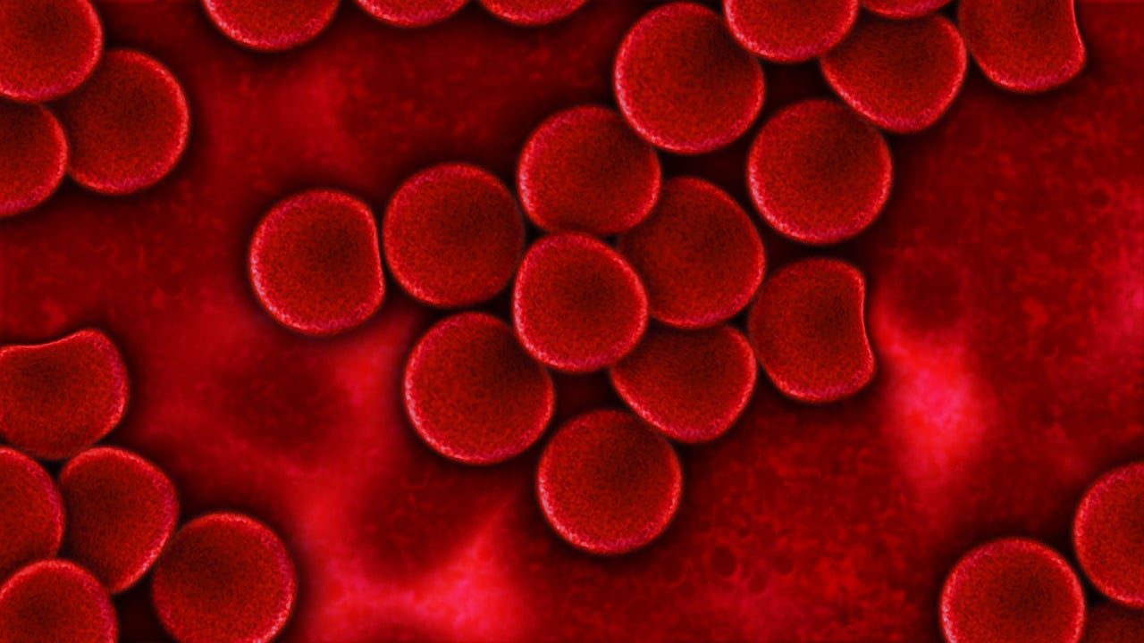 Evidenze del protocollo detox di Nutripuntura® – La Microscopia del sangue in Campo oscuro (MiCo)