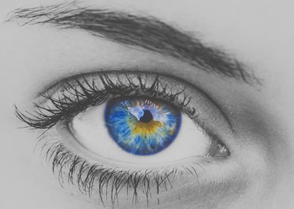 La VISTA, senso principale. L’approccio ed il supporto della Nutripuntura®