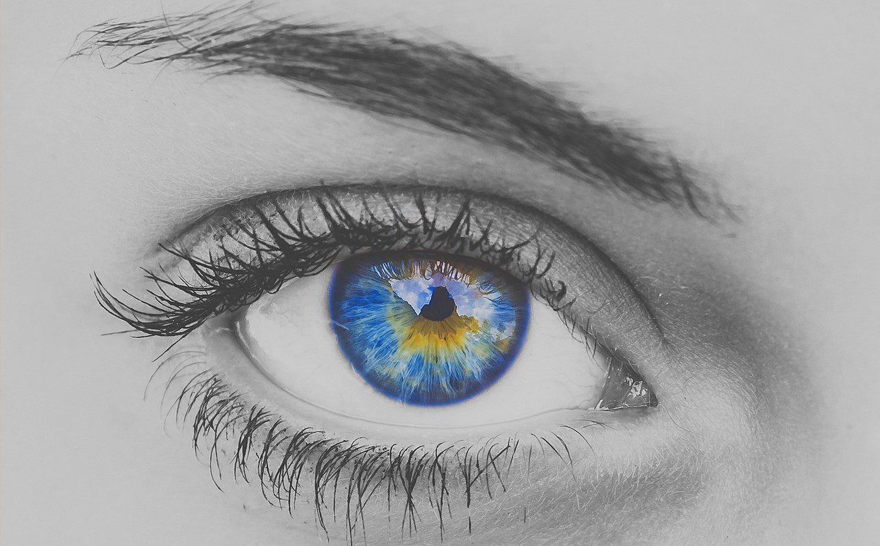 La VISTA, senso principale. L’approccio ed il supporto della Nutripuntura®