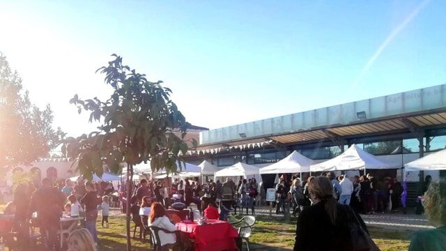 Festival olistico di Roma – Testaccio (ex mattatoio) 7 aprile 2024