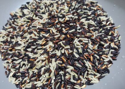 Magnesio: Proprietà, benefici e dove trovarlo