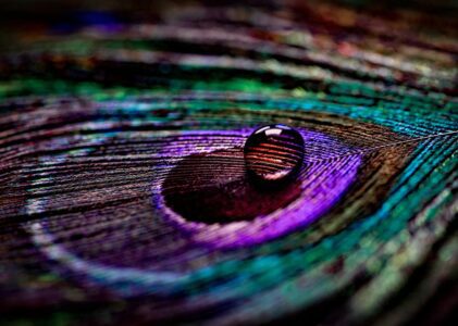 Utilizzi quotidiani dell’Argento Colloidale #1