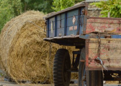 Mercatino Resistente ARCAPACIS – Roma, 24 novembre 2024