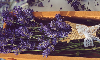 Mercatino ARCAPACIS – Roma, 22 marzo 2026