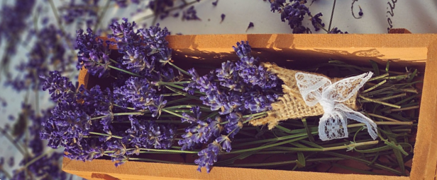 Mercatino ARCAPACIS – Roma, 22 marzo 2026